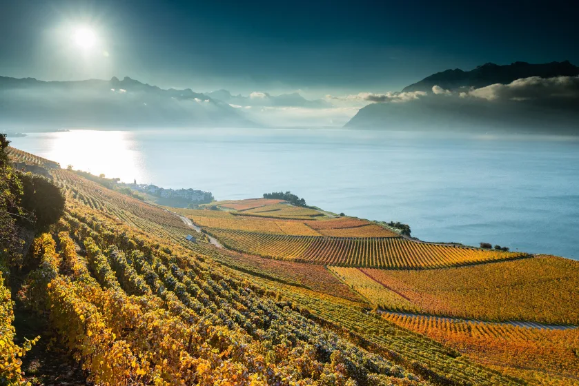 the wine route