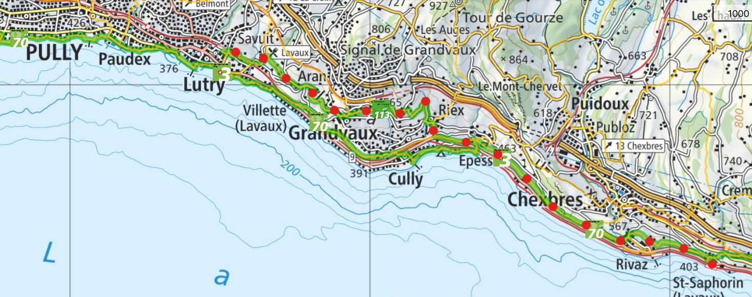 the wine route