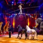 Circo Knie: vive la experiencia del legendario Circo Nacional de Suiza en Lausana